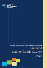 Human resource and skill requirements in the leather and leather goods industry